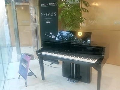 NOVUS NV10